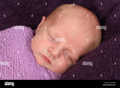 Sleeping New Born Baby Boy Hospital Hi Res Stock Photography And Images
