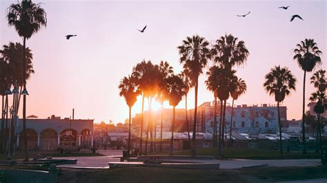 HD Wallpaper Sky Palm Tree Arecales Los Angeles California United