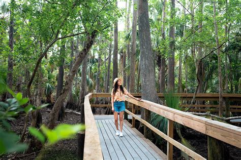 Discovering The Best Things To Do In Punta Gorda Floridas Hidden Gem