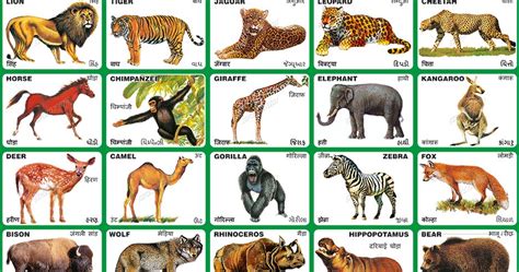 Spectrum Educational Charts Chart 117 Animals 1
