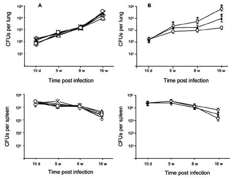 Growth Of M Tuberculosis H37rv And Rpf Like Mutant Strains In The