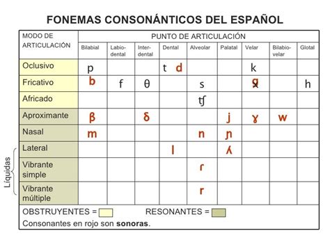 Historia De La Lengua Española Nociones Básicas De Fonética Y Fonología
