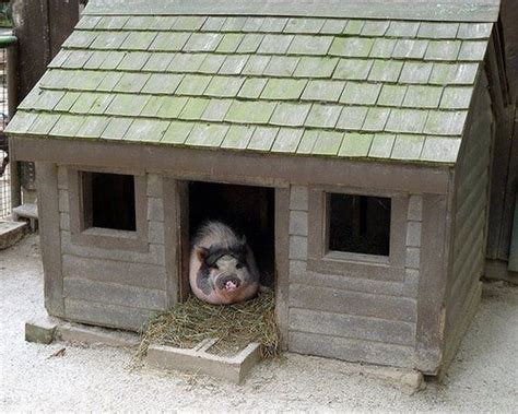 Cozy And Creative Piggy House Ideas