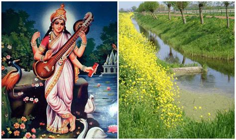 Basant Panchami 2018 Significance And Celebrations Of The Festival
