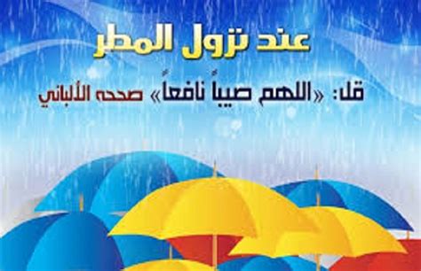 رؤية المطر في المنام من الأحلام التي تقابلنا كثيراً ولكن تلك الرؤية لها حالات كثيرة ففيها سقوط المطر الغزير وسماع صوت المطر وسقوطه في أوقات معينه، ويمكنك الإطلاع على كافة. تحت المطر اطلبوا ما تشاءون | صور - بوابة الأهرام