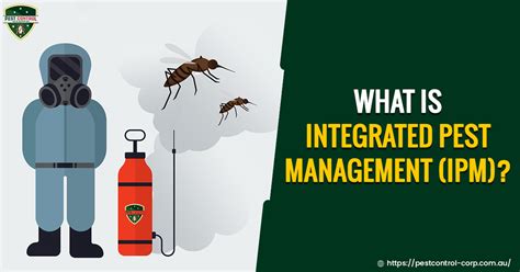Government laws, legislations, and politics. What is an Integrated Pest Management (IPM)? Everything ...