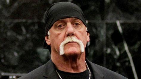 Hulk Hogan Slams Gawker Fox News Video
