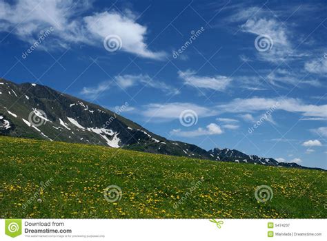 Meadow With Flowers Over Mountains Stock Image Image Of Summer Land