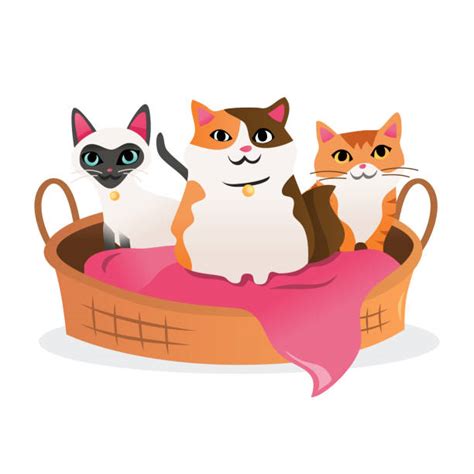 1000 Cat Bed Stock Illustrations Royalty Free Vector Graphics And Clip
