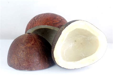 Solid Semi Husked Dried Coconut Halves Packaging Size 40 Kg Rs 200