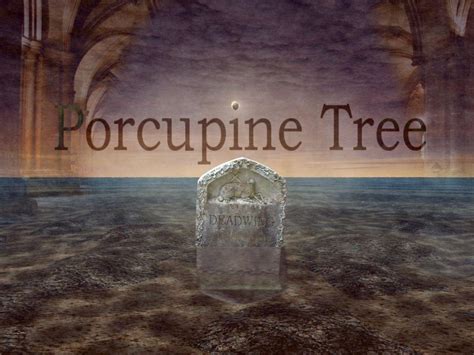 Porcupine Tree Wallpapers Wallpaper Cave