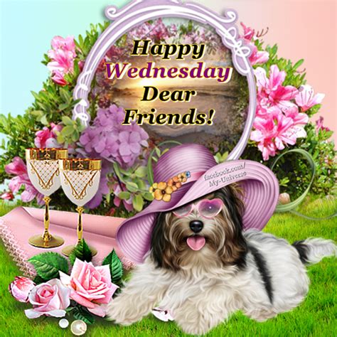 Happy Wednesday Dear Friends Pictures Photos And Images For Facebook