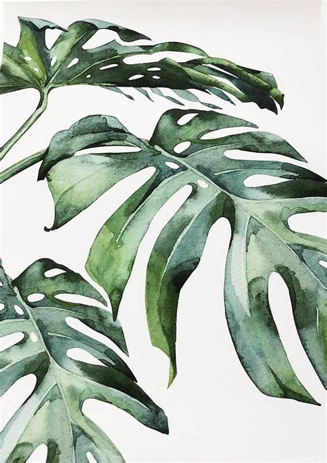 beautiful tropical leaves watercolor house plants posters fine art canvas prints watercolor