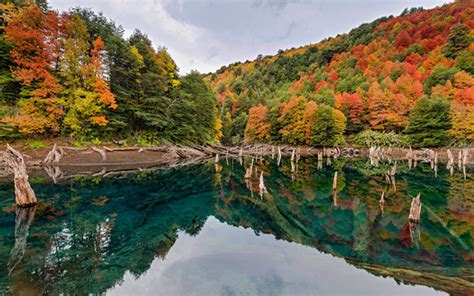 Santiago, chile june 30, 2020. Otoño en Parque Nacional Conguillio - Los mejores tours y ...