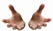 PNG Two Hands Transparent Two Hands.PNG Images. | PlusPNG