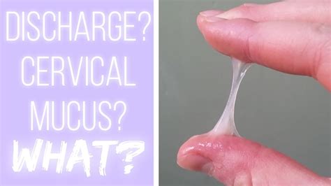 How To Detect Cervical Mucus Clockscheme Spmsoalan