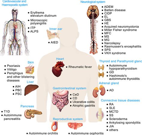 Human Autoimmune Diseases A Comprehensive Update Wang 2015