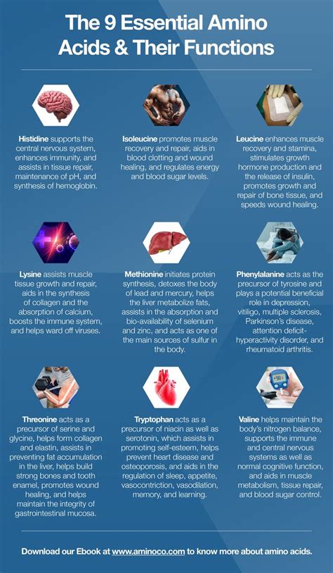 Pin On Amino Acids