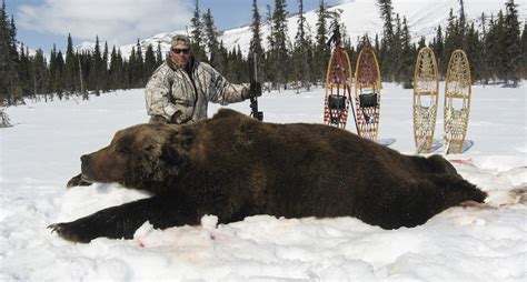 These Are The Biggest Grizzly Bear Kills In The Record Books