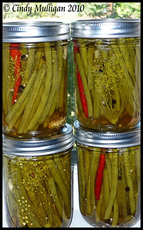 Click here to print these instructions. Pickled+Green+Beans.jpg 997×1,600 pixels | Canning recipes, Pickling recipes, Pickled green beans