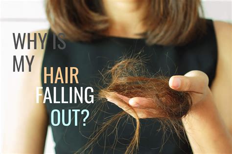 Why Is My Hair Falling Out HairKnowHow Professional Hair Testing