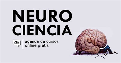 10 Cursos Online Gratis De Neurociencia Oye Juanjo