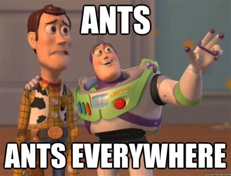 Best Memes About Ants Everywhere Ants Everywhere Memes Hot Sex Picture