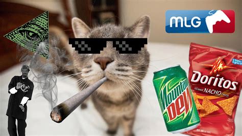 Mlg Cats In Action Youtube