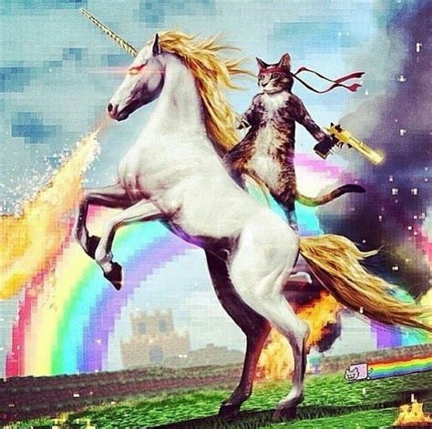Pin By Skitz Todesangst On Funny Things Cat Riding Unicorn Unicorn