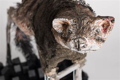 Elizabeth Jordan Large Sculpture Of Extinct Carnivorous Marsupial Thylacine Moon For Sale