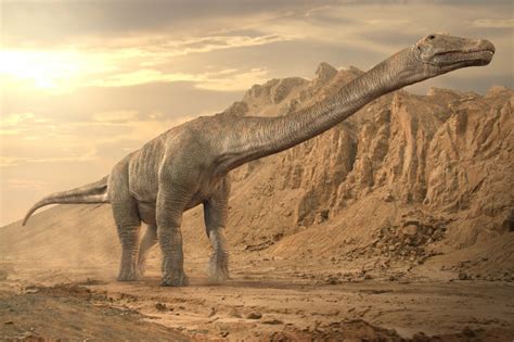Titanosaur En Büyük Dinazor Türü Bilgi