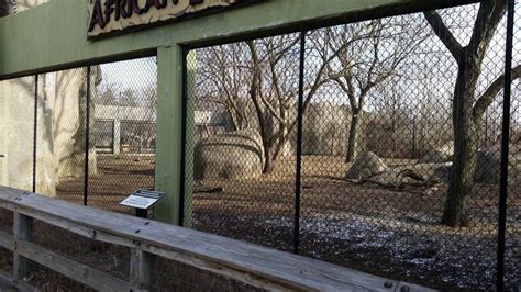 Indianapolis Zoo Lion Exhibit R E Dimond And Associates Inc