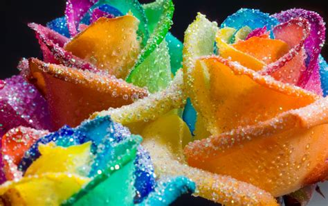 Beautiful Happy Roses Rainbow Glitter Photo Gallery Hd Wallpapers