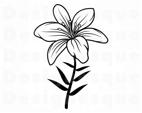Png Lily Flower 1 Svg Dxf Lily Flower Clipart Flower Svg Eps Lily Svg
