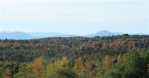 Knit Jones Vermont Foliage