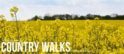 Country Walks Near Swindon Wiltshire Walks In Wiltshire