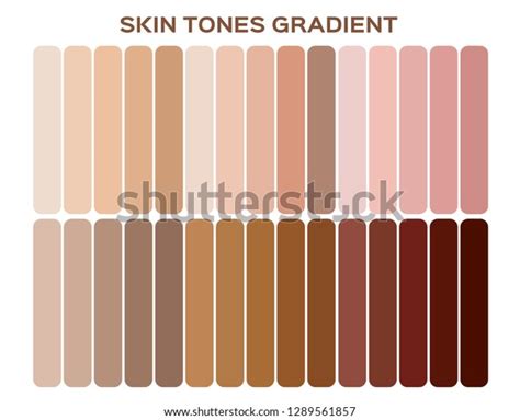Skin Tone Index Color Infographic Vector Stock Vector Royalty Free