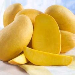 Fresh Mango At Best Price In Virar By Mauli Agro Products Id