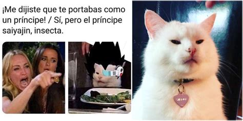 Meme Gato Llorando Origen El Meme Es El Resultado De Combinar Una