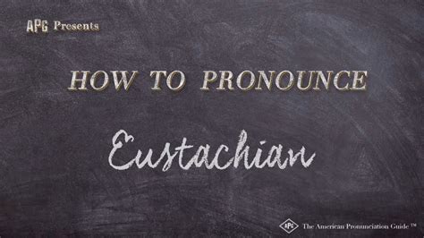 How To Pronounce Eustachian Real Life Examples Youtube