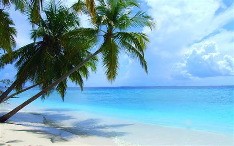 2k Free Download Maldives Beach Scenery 09 Hd Wallpaper Peakpx