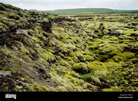 Moss Covered Hill Hi Res Stock Photography And Images Alamy