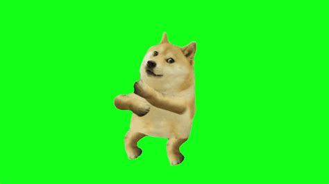 Green Screen Dog Dancing Videodogmeme Youtube