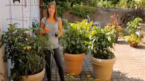 How To Grow Tomatoes Eggplants And Peppers In Containers