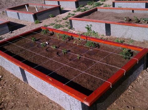 Each board slides into the corner posts. Photos of our Tall Raised Garden Box that will Last a ...