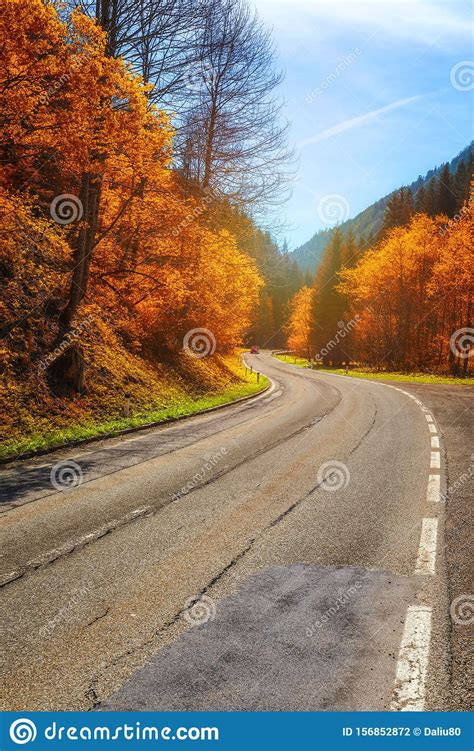 Autumn Forest Beautiful Forest With Country Road At