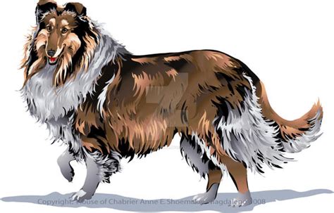 Lassie Come Home By Houseofchabrier On Deviantart