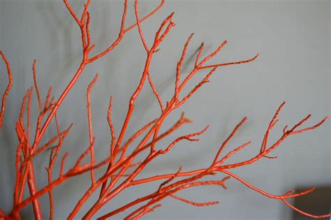 Diy Painted Tree Branches With Spray Paint Whats Ur Home Story