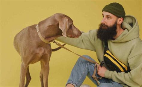 Men With Beards Carry More Bacteria Than Dogs Study Says