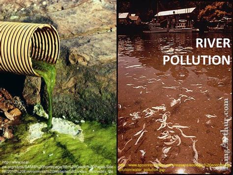 ppt river pollution powerpoint presentation free download id 1306635